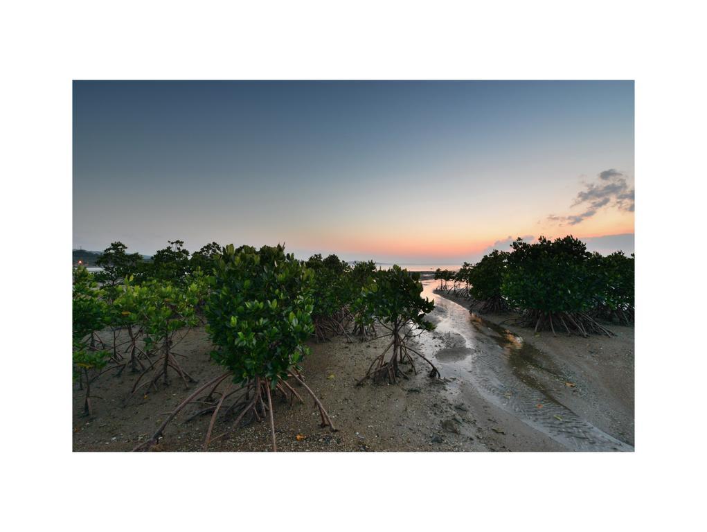 Отель Oceanview Yui Ishigaki  Экстерьер фото